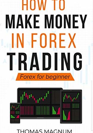 Come fare soldi nel Forex trading: Forex for Beginner (English Edition)